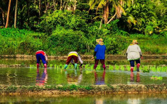¡Completa tu estancia!