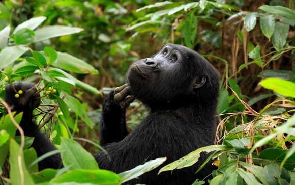 Tu itinerario de viaje
