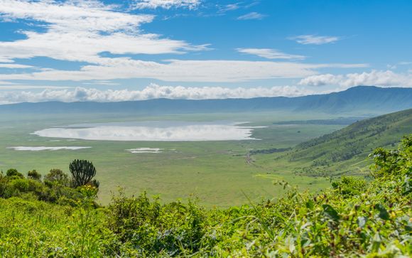 Tu safari en detalle