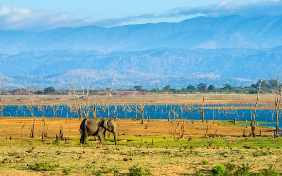 ¡Completa tu estancia!