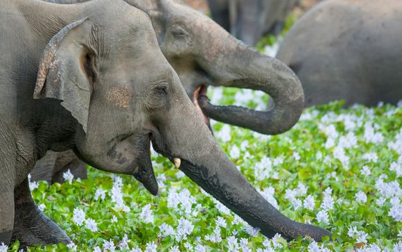 ¡Completa tu estancia!