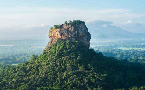 ¡Completa tu estancia!