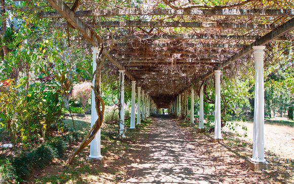 ¡Completa tu estancia!