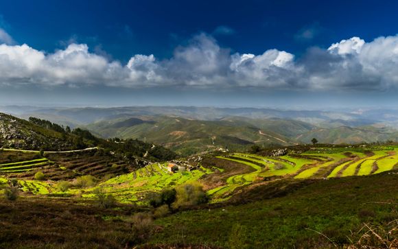 ¡Completa tu estancia!