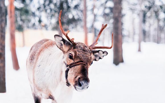 ¡Completa tu estancia!