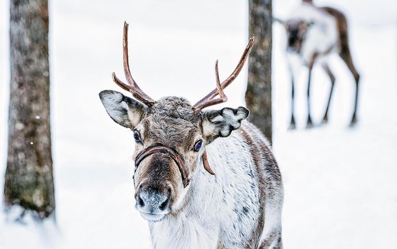 Tu itinerario de viaje