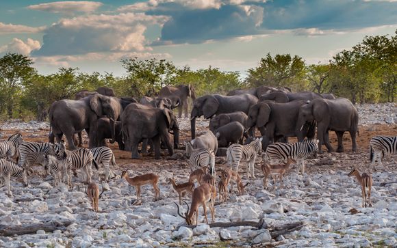 ¡Completa tu estancia!