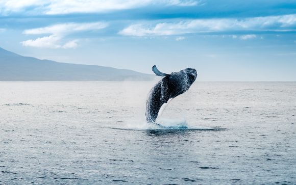 ¡Completa tu estancia!