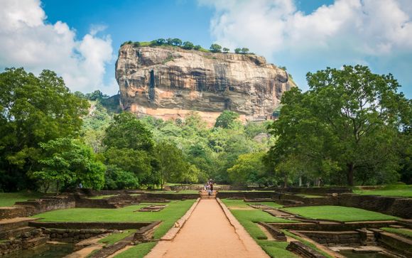 ¡Completa tu estancia!