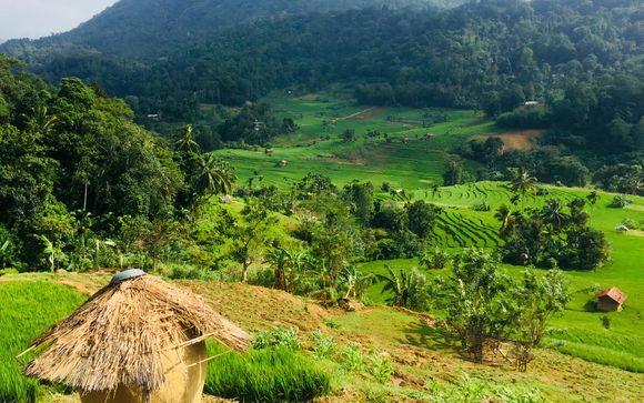 ¡Completa tu estancia!