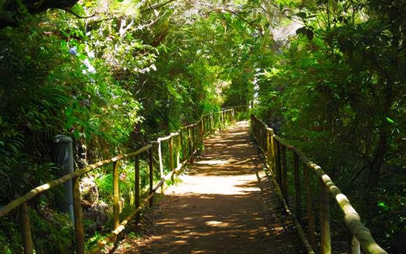 ¡Completa tu estancia!