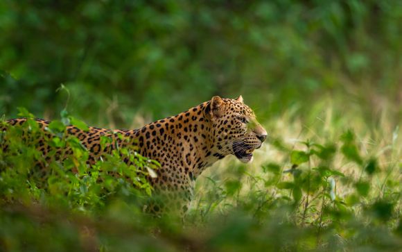 ¡Completa tu estancia!