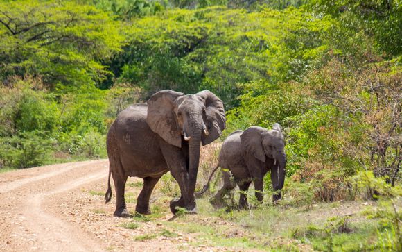 Tu itinerario durante el safari
