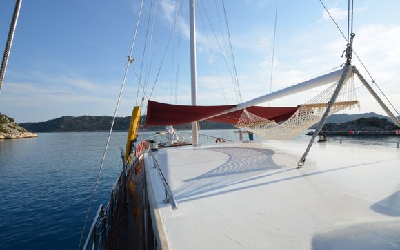 ¡Bienvenido a bordo!