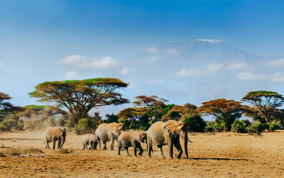 Tu itinerario durante el safari