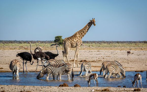 ¡Completa tu estancia! 