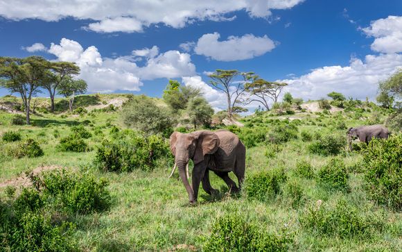 Tu itinerario durante el safari