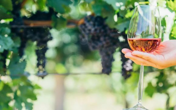 Tu actividad incluida