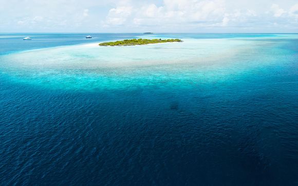 Baa Atoll, en Maldivas, te espera