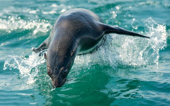 ¡Completa tu estancia!