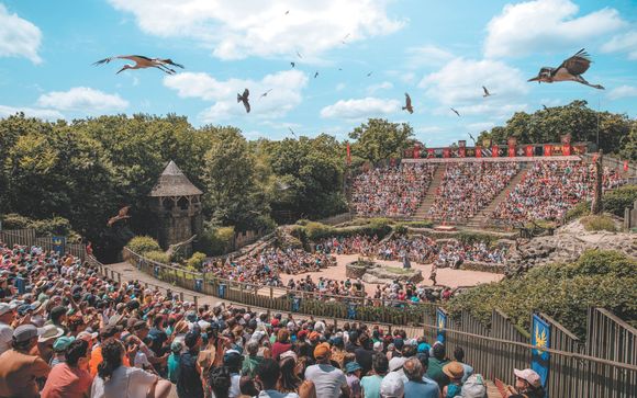 Tu actividad incluida