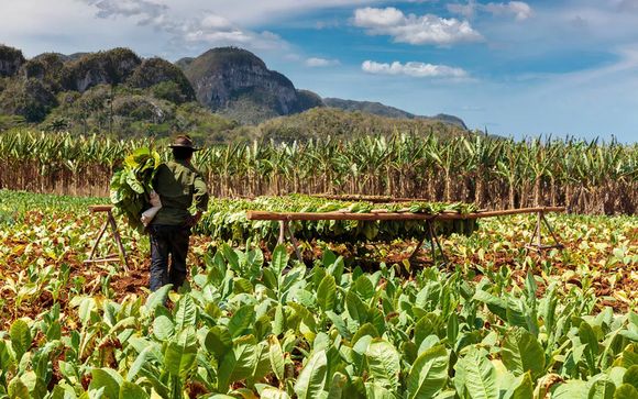 ¡Completa tu estancia!