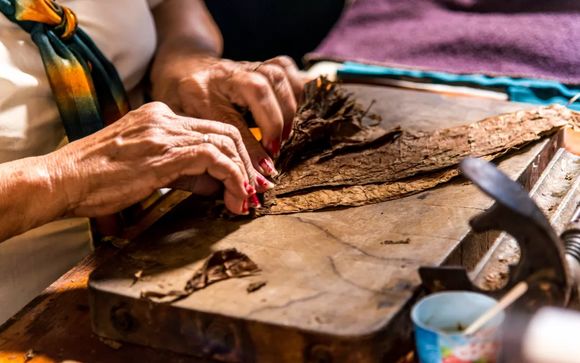 ¡Completa tu estancia!