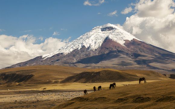 Tu plan de viaje