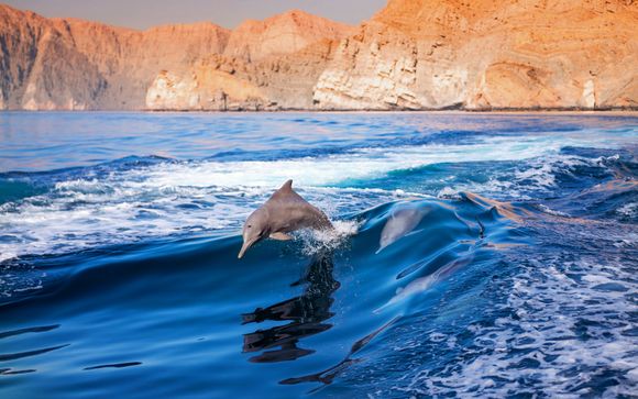 ¡Completa tu estancia!