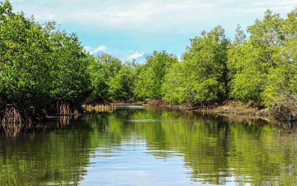 Tu itinerario durante el crucero