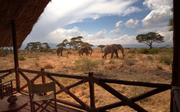 Tu safari de 4 o 7 noches en Tanzania