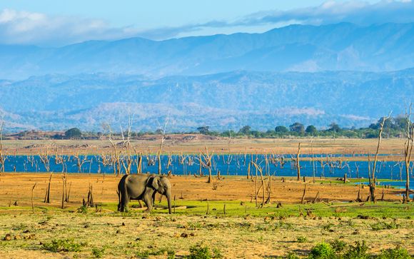 ¡Completa tu estancia!