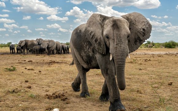 ¡Tus servicios incluidos!