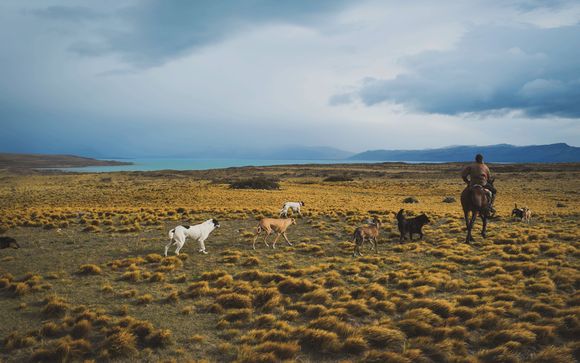 Itinerario - Salidas en grupo