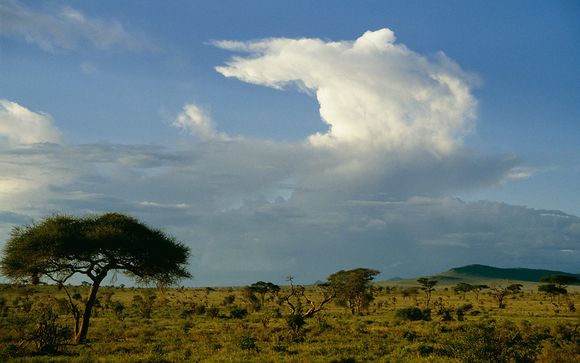 Safari de 4 días y 3 noches