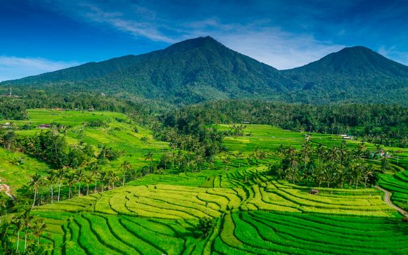 FIRST CLASS EMIRATES