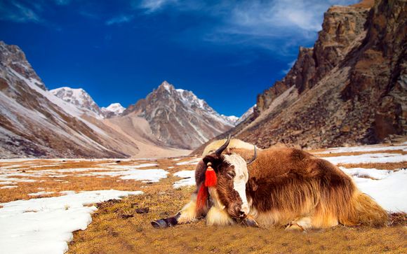 Itinerario - Salidas en grupo