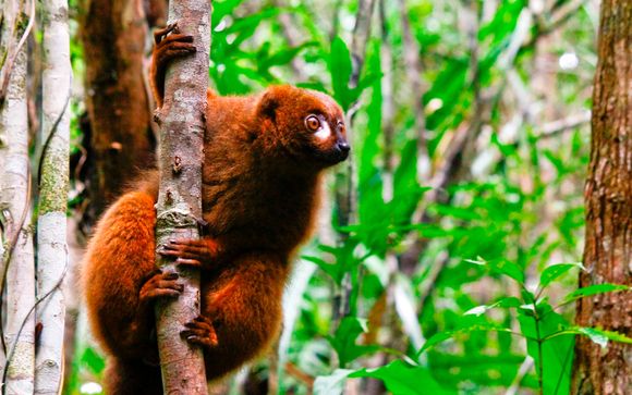 Itinerario - Salidas en grupo