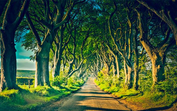 Ruta de Juego de Tronos a tu aire