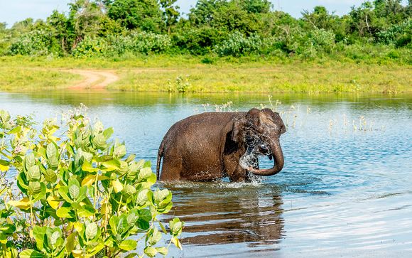El paraíso te espera