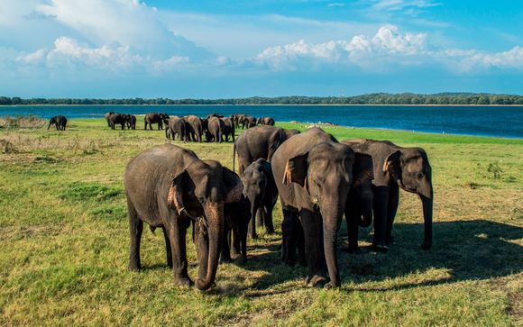 Itinerario privado 8 noches