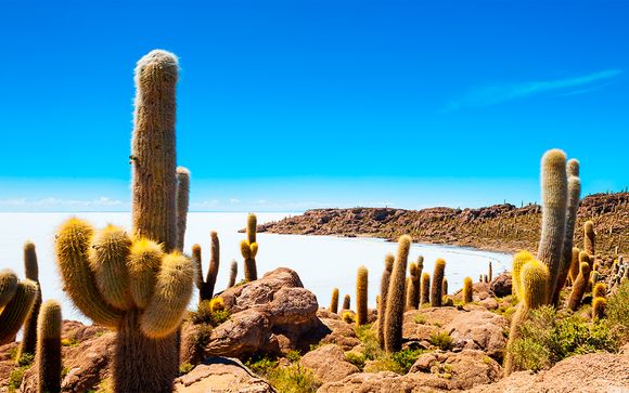 Itinerario - Salidas en grupo