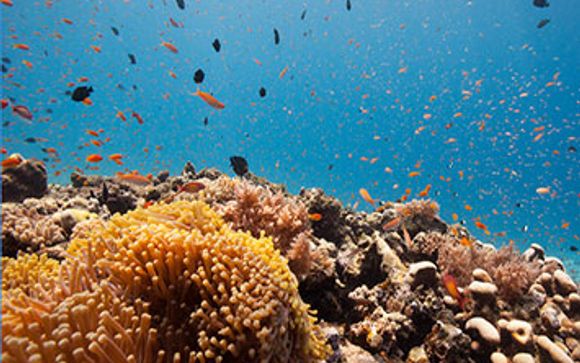 Spice Island Hotel & Resort 4*