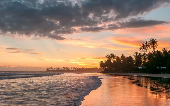 Itinerario privado - 10 noches