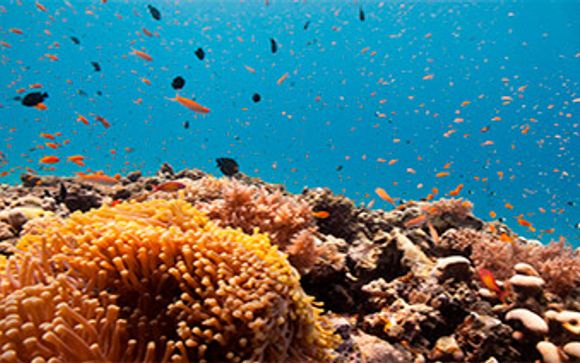 White Paradise Zanzibar 4*, en Zanzíbar