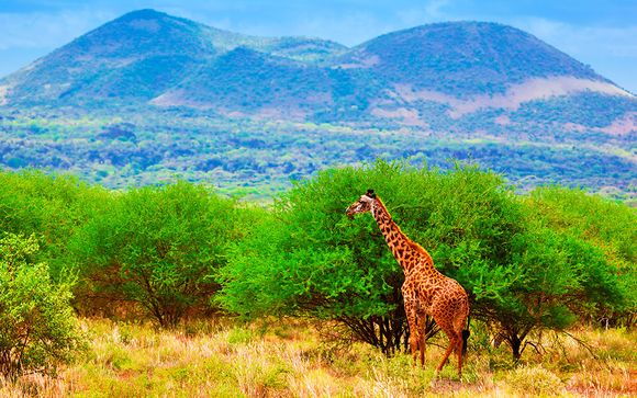 Safari en Ngutuni & Taita Hills (opcional)