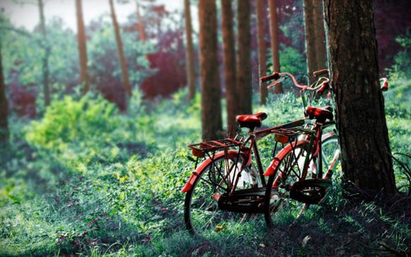 La naturaleza te espera