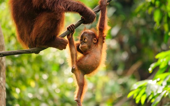 Itinerario - Salidas en grupo
