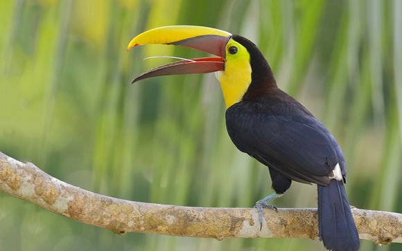 Itinerario - Circuito privado