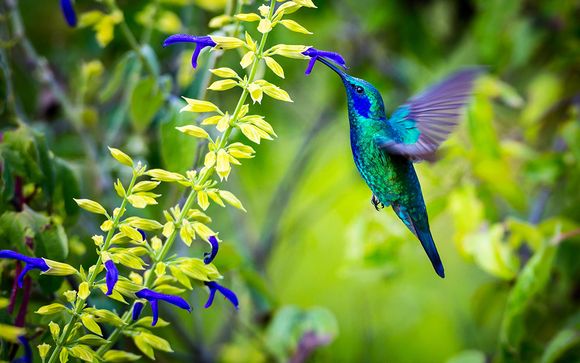 Itinerario de 8 noches - Visitas sugeridas